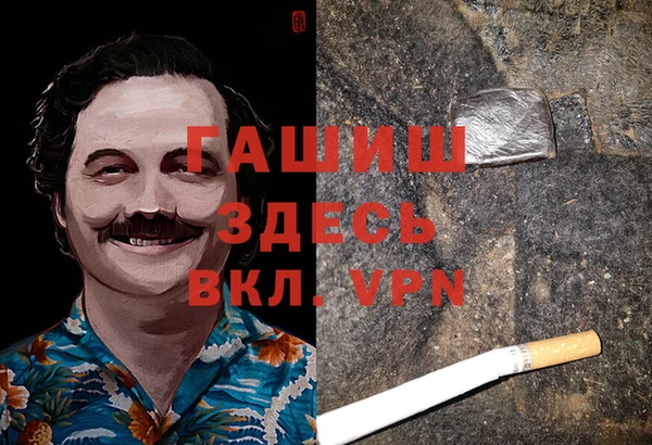 шишки Алексин