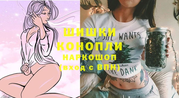 шишки Алексин