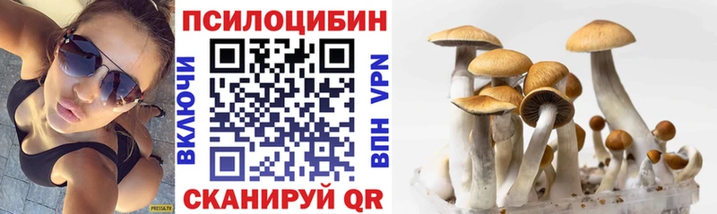 KRAKEN сайт  Камышин  Псилоцибиновые грибы Cubensis 