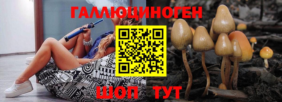 Галлюциногенные грибы Magic Shrooms  Вход с VPN  Камышин 